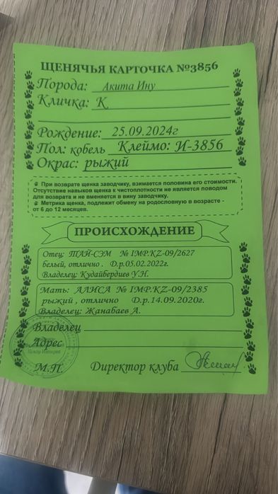 Звонит  с 12 по 22:00