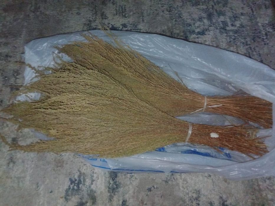 Дермене.  Цытварный полынь.