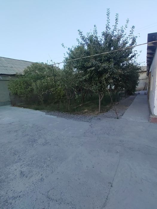 Sirdaryo tumani chuqur maxalla