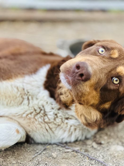 Хаки! Молодой мальчик ищет семью