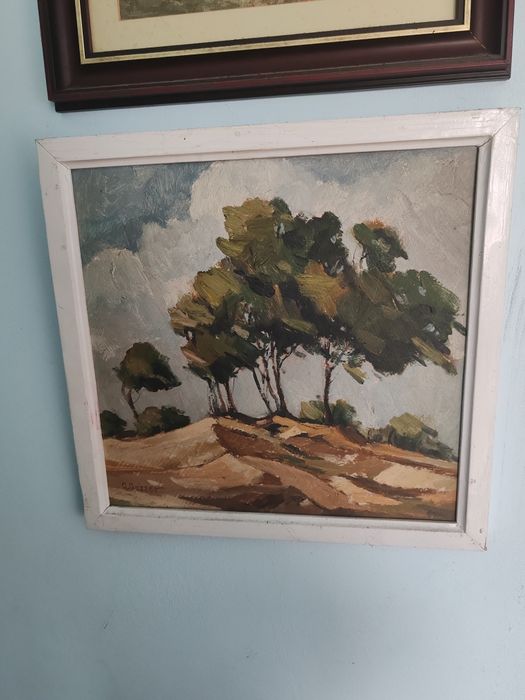 Tablouri G Gasser pictor Tulcea