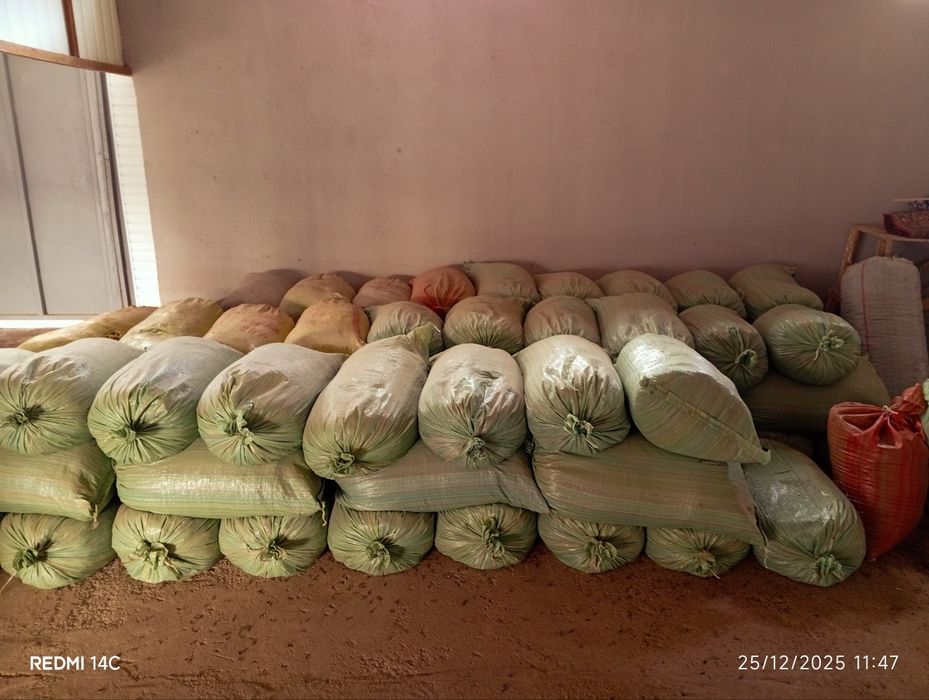 Биогомс и  чуалчанг