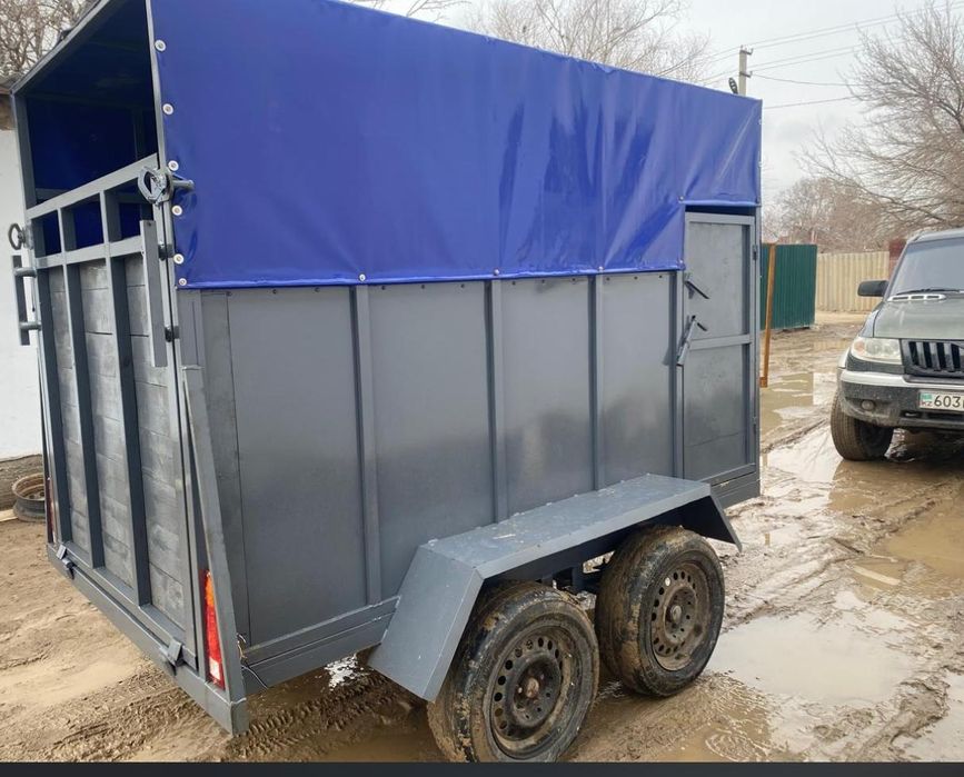 Продается коневозка