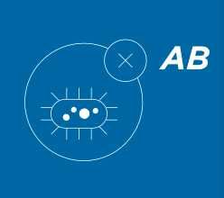 Найлон - Полиетилен за оранжерии с УВ защита 120 – 200 микрона