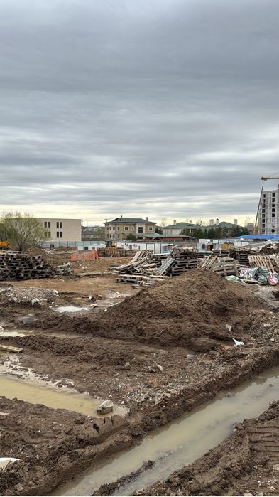 Стротельный подоны