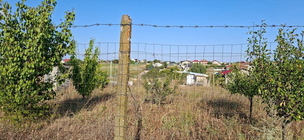 Teren casa Sat Costi (Galați)
