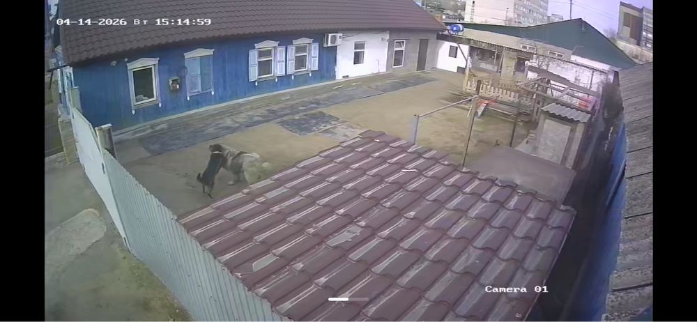 Продам или поменяю.