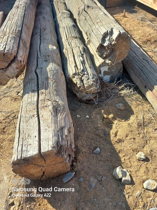 Томар сатыладыыы