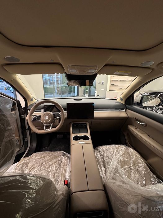 Dongfeng E5 Landien