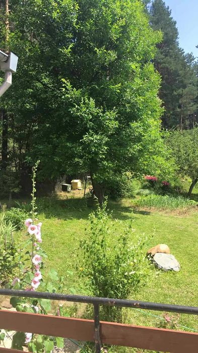 Продава се Къща в с. Ярлово, Област София-област - 128 кв.м за 1719 €/кв.м - Снимка #7