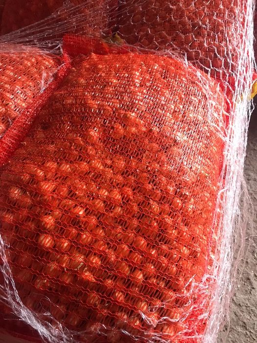 Graunti de pus in pământ arpagic și Lucerna