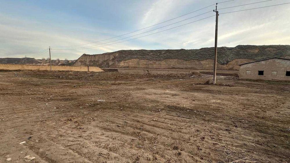 Ферма 80 сўтих. Манзил Тошкент вилояти, Пискент тумани.