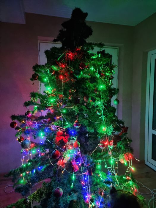 Archa (новогодняя ёлка)