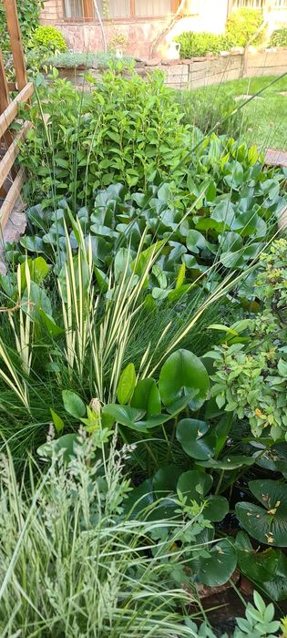 Загородный дом с пропиской. В сторону Паркента.