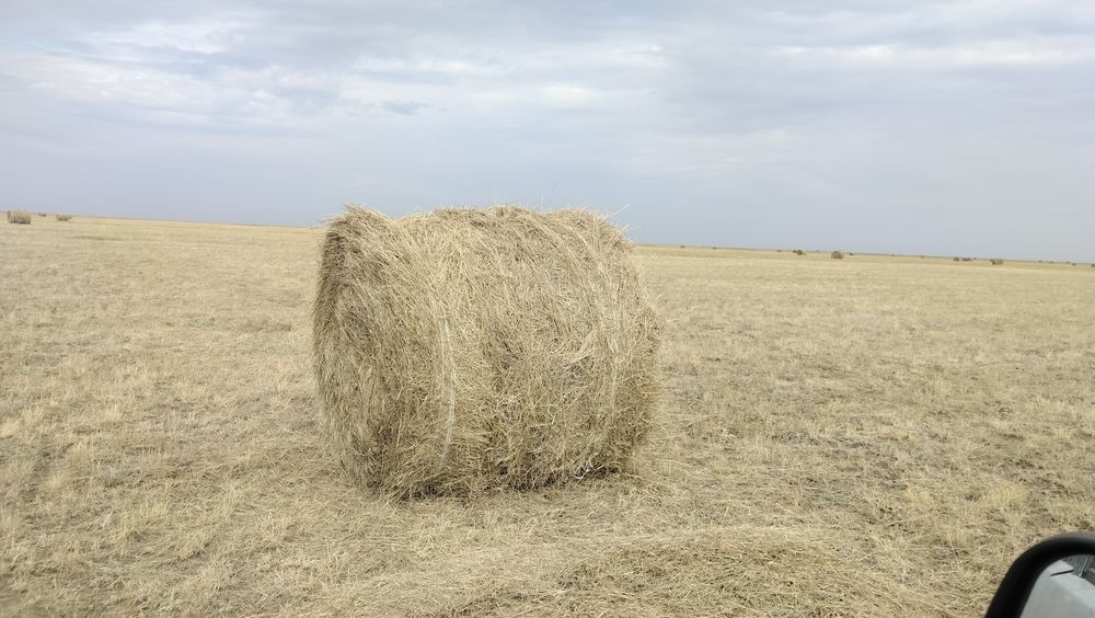 Продам Рулонны сено 110 Прф