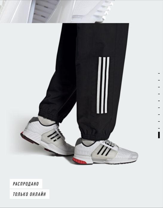 Кроссовки Adidas climacool 1