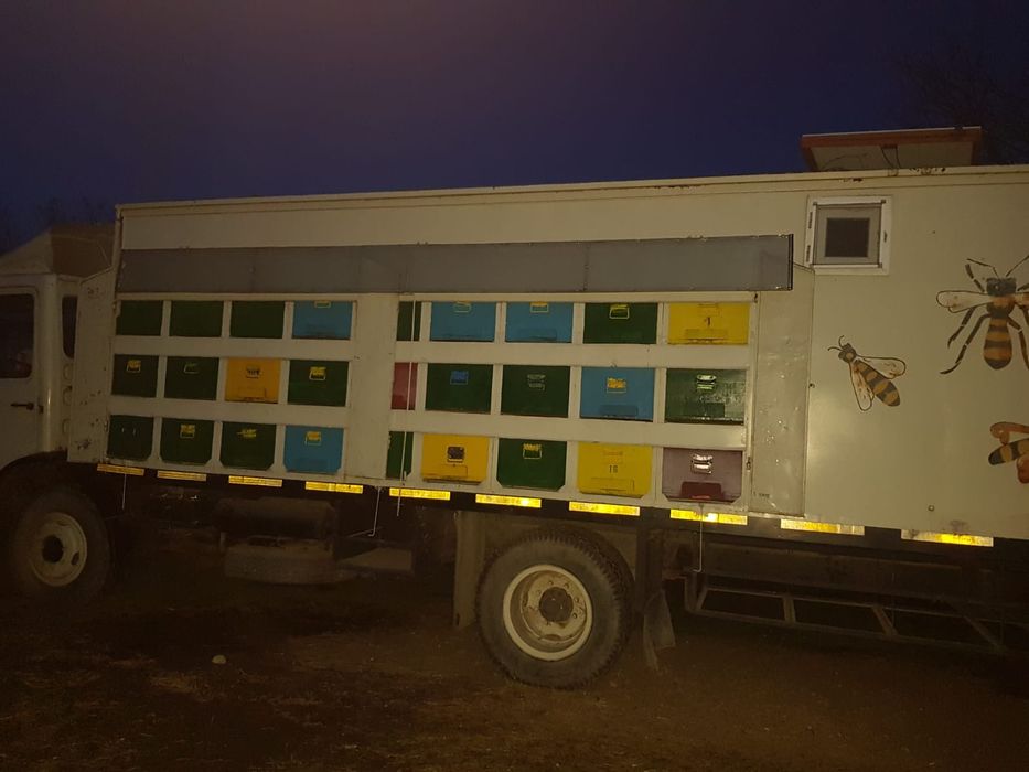 Vând camion apicol marca Saviem
