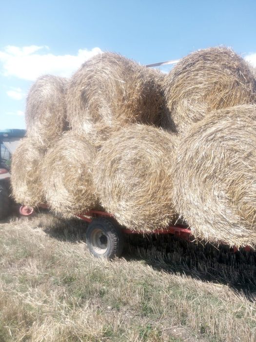 Vind  baloti de  fin rotunzi