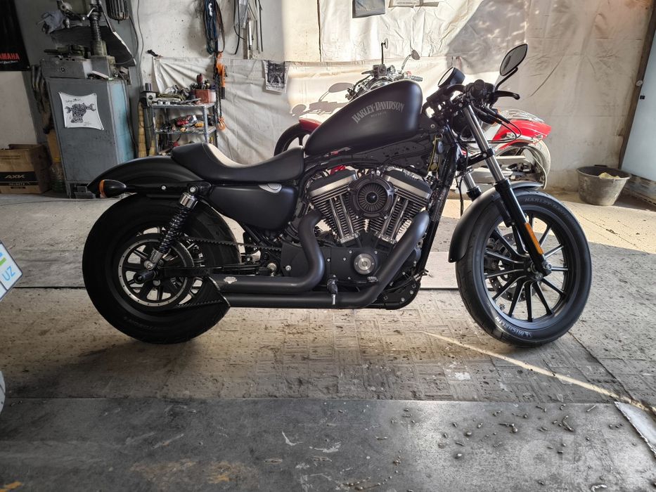 Harley Davidson sportster 883 iron custom
