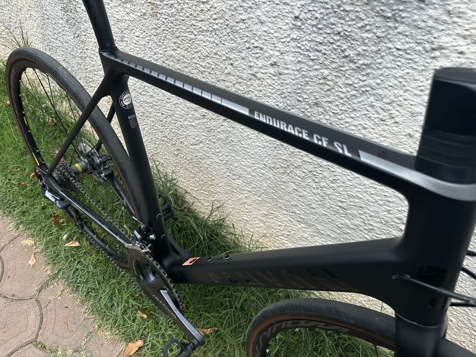 Cursiera Canyon Endurace Cf Sl Large