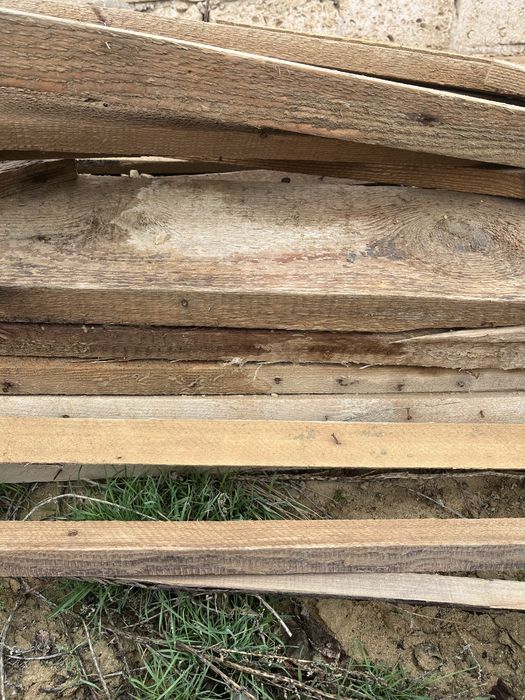 Ағаштар сатылады барлығы 80мың