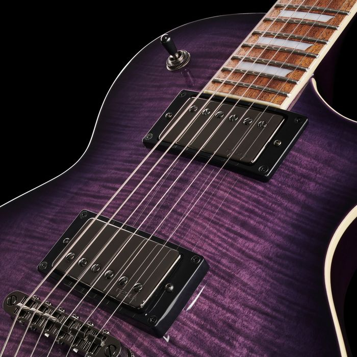 Harley Benton CUSTOM