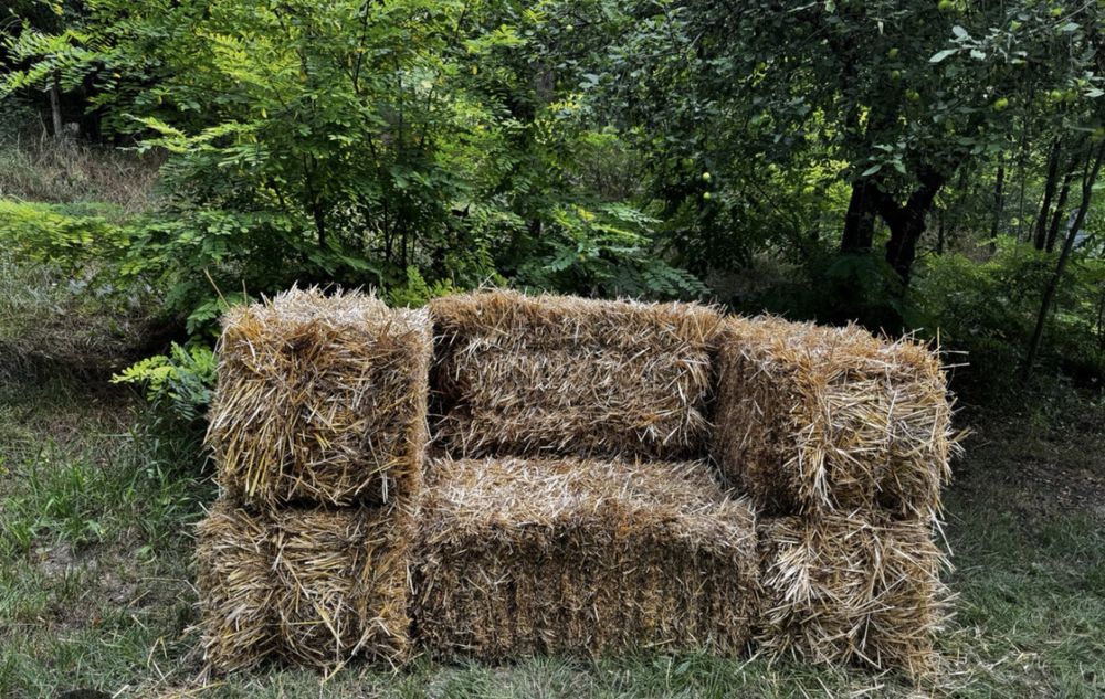 Baloti din paie de acest an