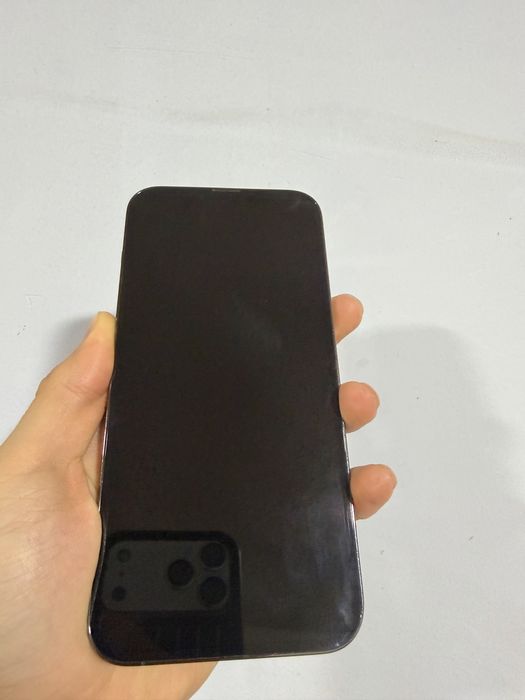 Iphone 13 Pro max 1 tb 1024gb