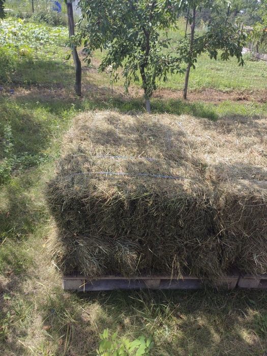 Baloti de fân dreptunghiulari