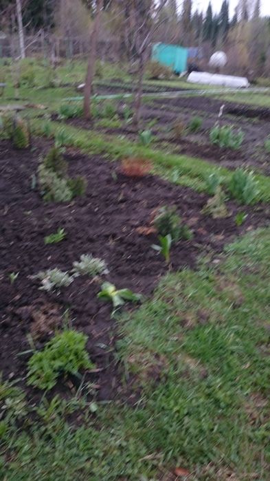 Продам дачу за селом тарханка