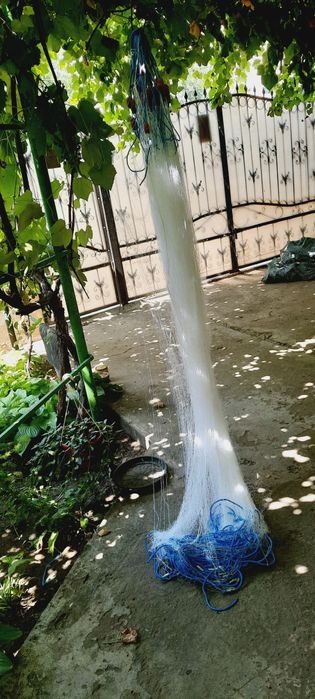 Plase de pescuit profesionale