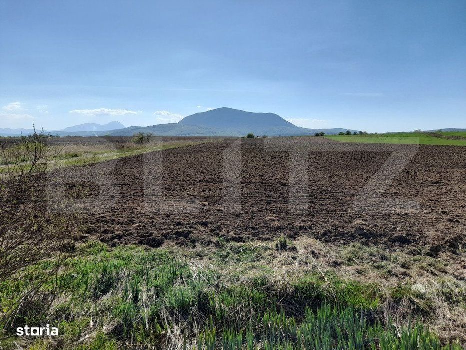 TEREN Extravilan 15000 MP in Zona Codlea