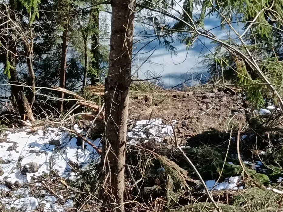 Teren  cu IESIRE LA LAC Colibita 10 -15 arii .