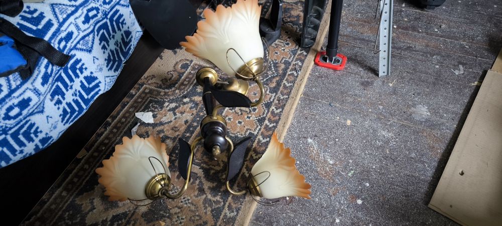 Стар полилей тип лале - с 3 чашки