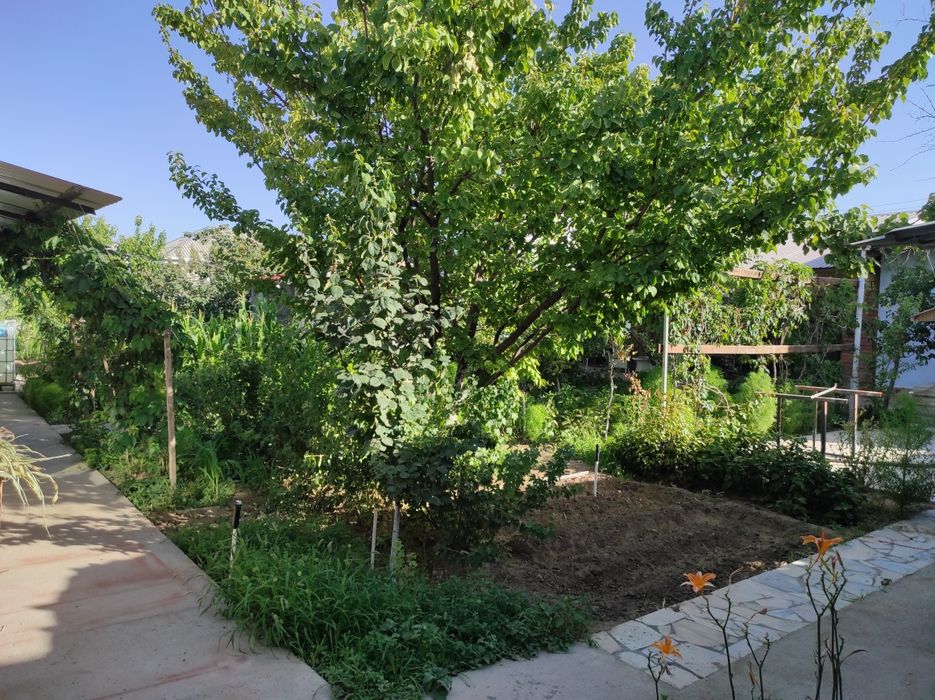 Продаются две дачи, 2  дома  на Мираж 1