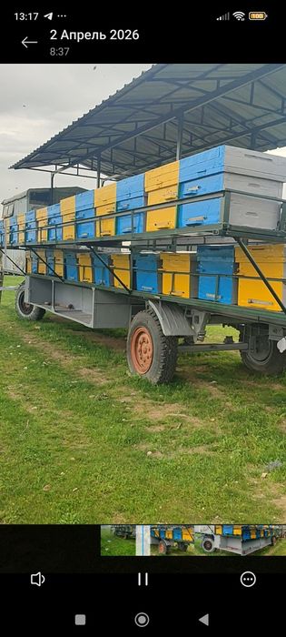 Пчелоприцеп Зил с пчелами
