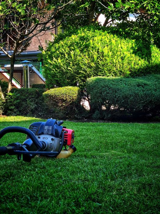 Озеленяване поддръжка