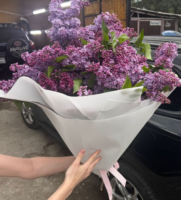 Букет из сирени свежие