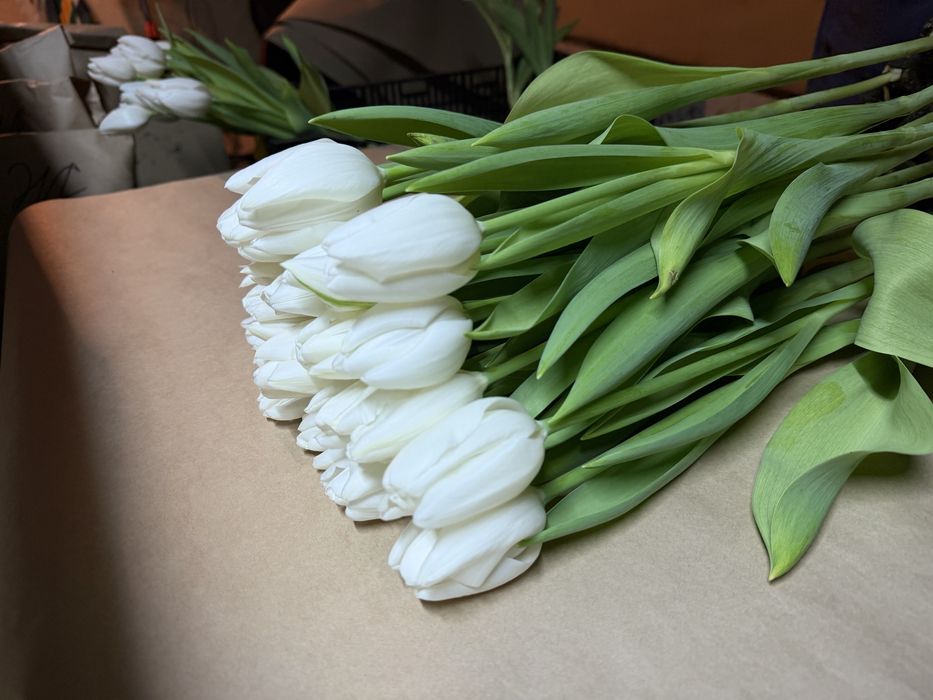 Тюльпаны Алматы-Выгодные цены!