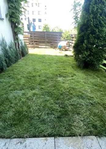 Gazon Rulou Sisteme de Irigare