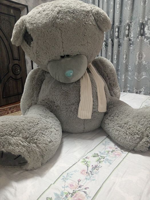 Teddy ayiq yangi hali oladiganlar aloqaga chiqsin