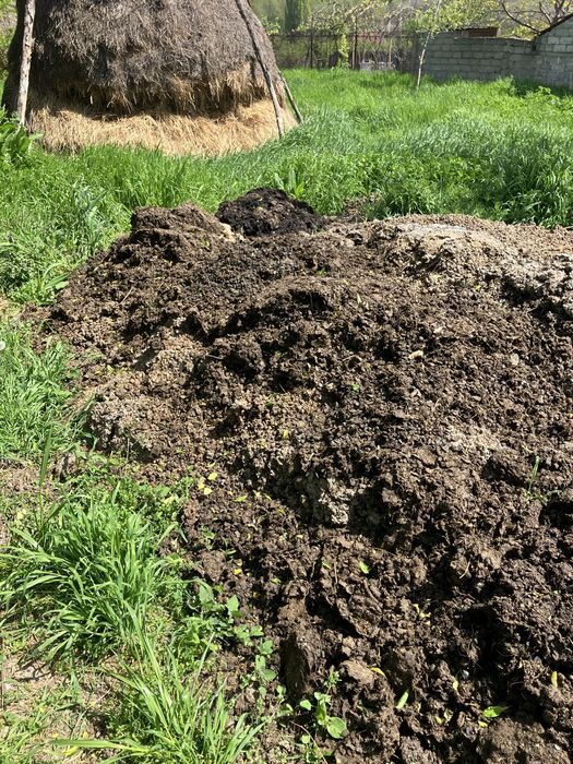 Vand ingrasaminte organica (gunoi de oaie)