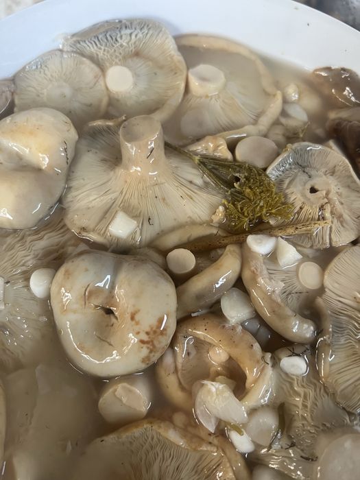 Домашние соленья на любой вкус