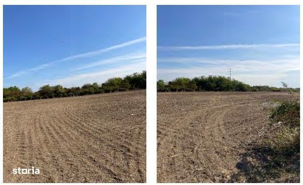 Teren extravilan agricol Halmeu, Satu Mare - 3085272