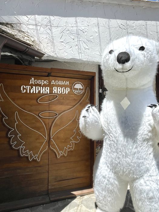 Костюм бяло мечка