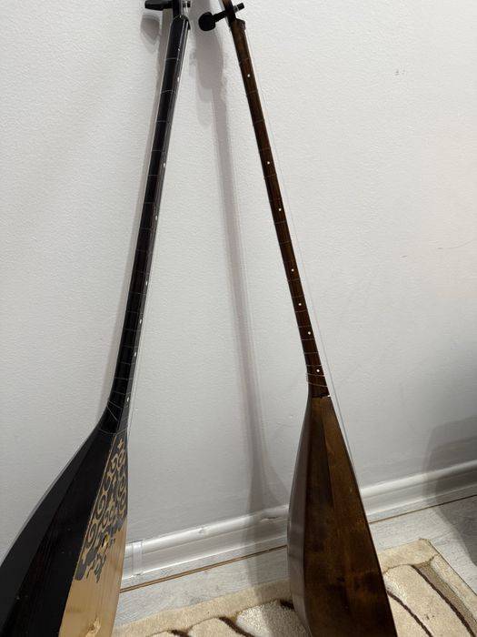 кәсіби домбыралар