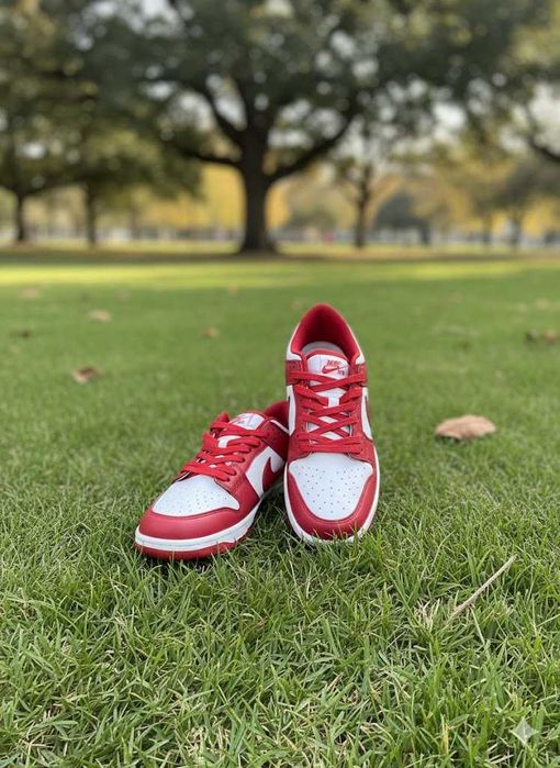 Adidasi Nike Dunk Red - Sneakersi Fete Baieti - Premium