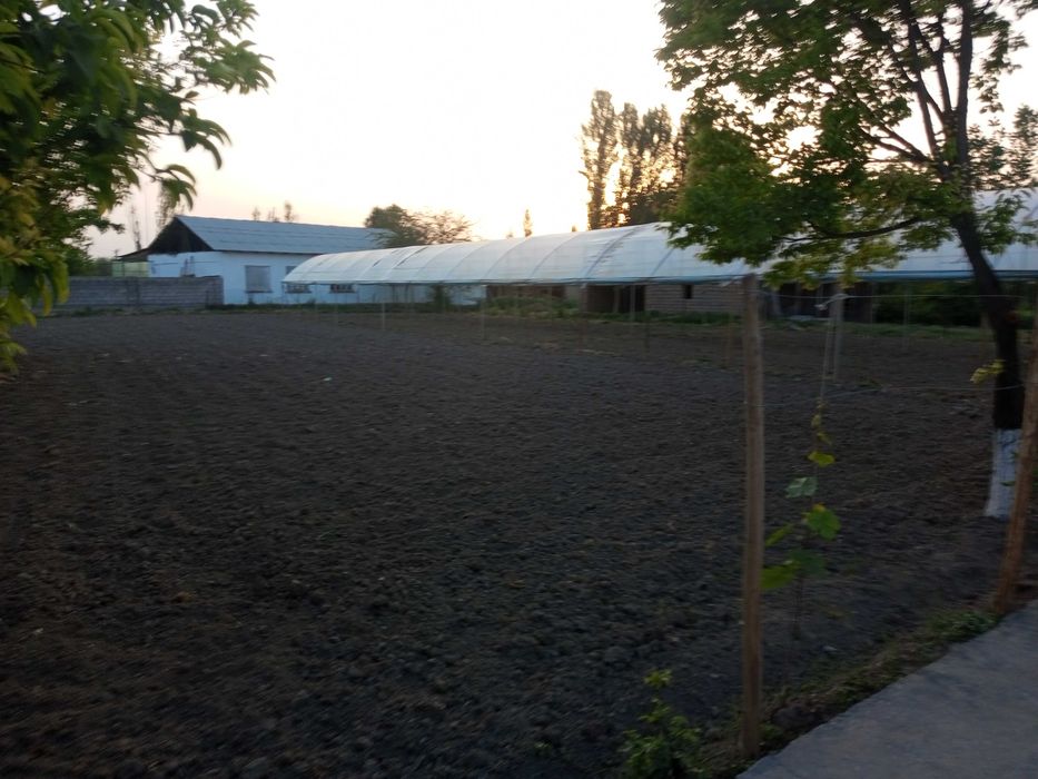 Uy sotiladi tez orada