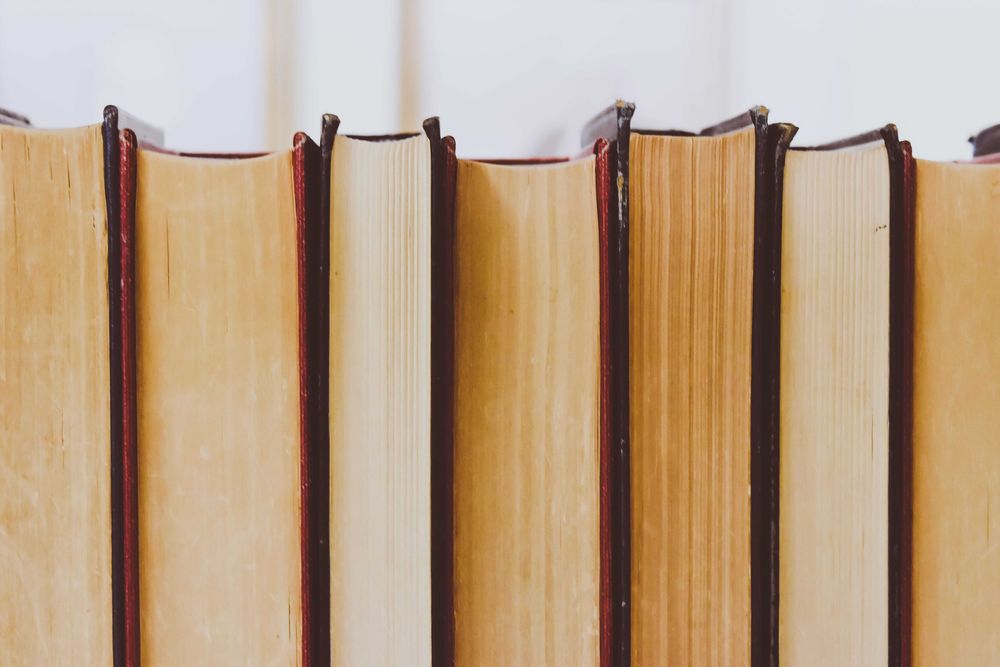 Meditații la Limba și Literatura Română – Pitești / Online