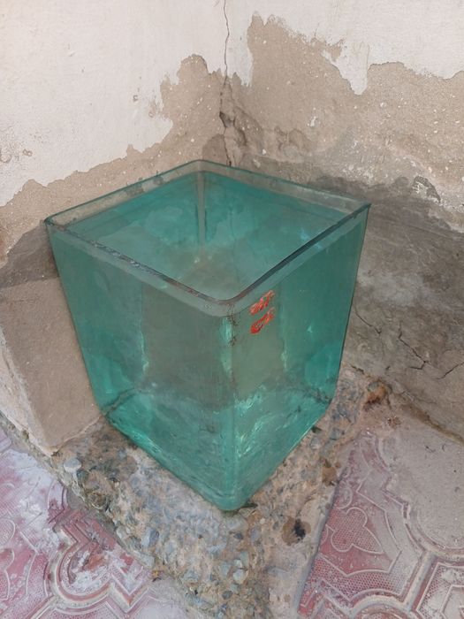 Шиша аквариум. Shisha akvarium